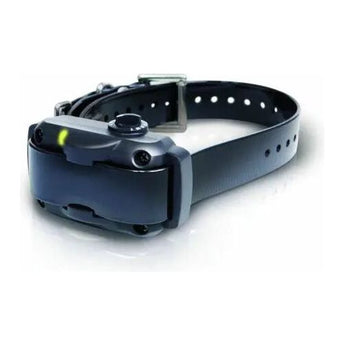 Dogtra YS600 Rechargeable Waterproof High-Output No Bark Collar Dogtra