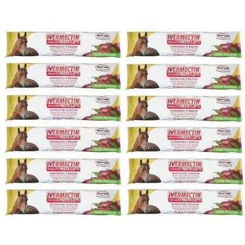 Durvet Apple Flavored Horse Wormer Horse Bot Parasites Equine Wormer (x12) Durvet
