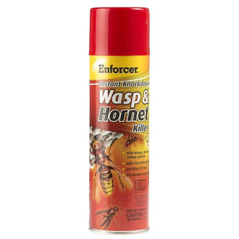 Enforcer Instant Knockdown Wasp & Hornet Killer 16 oz. Enforcer