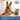 Four Paws Regular Black Allen Spring Action Dog Scooper for Grass Four Paws