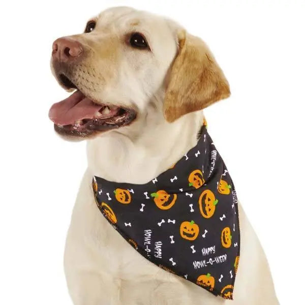 Halloween Aria Bright Trick Or Treat Dog Bandanas 19" Aria