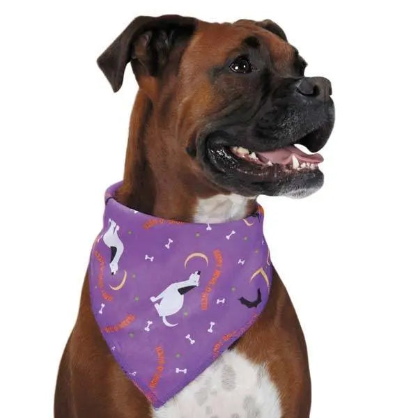 Halloween Aria Bright Trick Or Treat Dog Bandanas 19" Aria