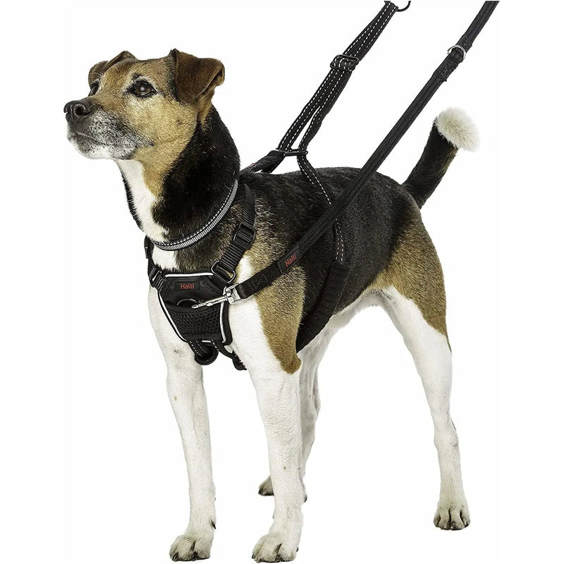 Halti No Pull Harness for Small Dogs Halti