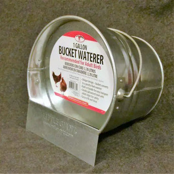 Little Giant 2 In 1 Bucket Poultry Galvanized Bucket Waterer Little Giant