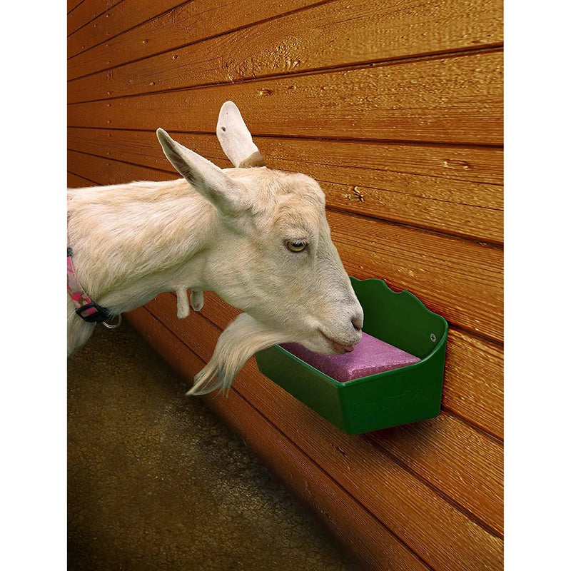 Little Giant Livestock Salt Block Feeder 1 Quart Little Giant