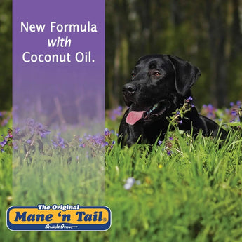 Mane 'n Tail Ultimate Gloss Horse Conditioner Gentle Formula 32oz Mane 'n Tail