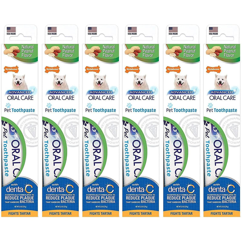 Nylabone Advanced Oral Care Peanut Flavor Toothpaste 2.5oz. 6PCK Nylabone