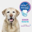 Nylabone Advanced Oral Care Senior Dog Dental Kit Nylabone