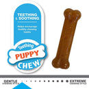 Nylabone Puppy Chew Classic Bone PB & Chicken Flavor, Petite 2CT Nylabone