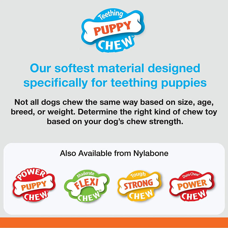 Nylabone Puppy Chew Freezer Toy Lamb & Apple Flavor, SM/Regular Nylabone