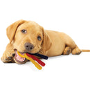 Nylabone Puppy Chew Teething Keys Bacon Flavor, Regular Nylabone