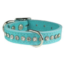 OmniPet Signature Leather Crystal Dog Collar Made in USA OmniPet