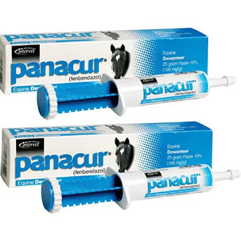 Panacur Equine Paste 10% Horse Wormer 100mg 2-Pack Panacur