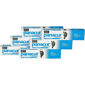 Panacur Equine Paste 10% Horse Wormer 100mg 6-Pack Panacur
