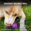 Playology Beef Scent Squeaky Bounce Ball Dog Toy, Large PLAYOLOGY