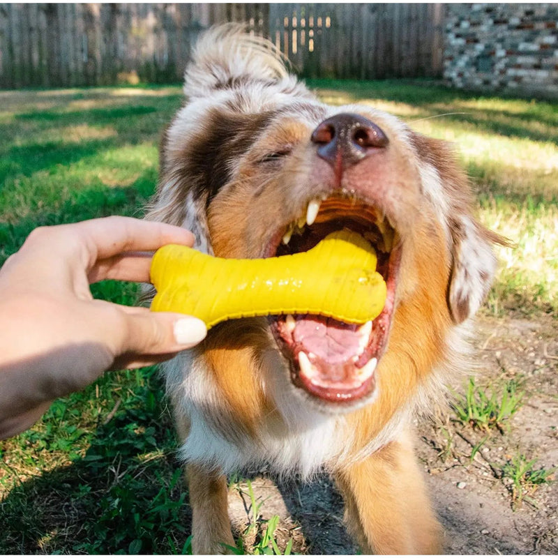 Playology Dual Layer Bone Dog Toy All Natural Chicken, Small PLAYOLOGY