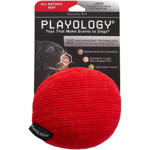 Playology Plush Squeaky Ball Dog Toy All-Natural Beef Scent, LG PLAYOLOGY