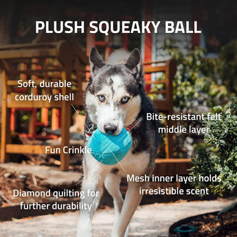 Playology Plush Squeaky Ball Dog Toy All-Natural Beef Scent, LG PLAYOLOGY