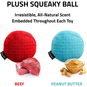 Playology Plush Squeaky Ball Dog Toy All-Natural Beef Scent, LG PLAYOLOGY