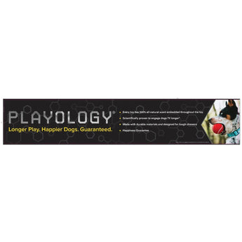 Playology Plush Squeaky Ball Dog Toy All-Natural Beef Scent, LG PLAYOLOGY