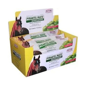 Pyrantel Pamoate Paste Horses 23.6g (Strongid Paste) Single Durvet
