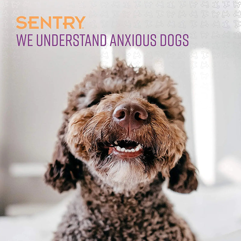 Sentry Calming Collar for Dogs Helps Modify Stress Behavior Sentry