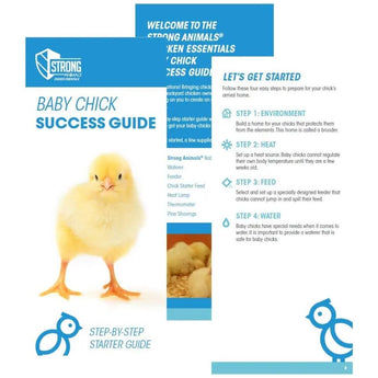 Strong Animals Baby Chick Care Kit Strong Animals