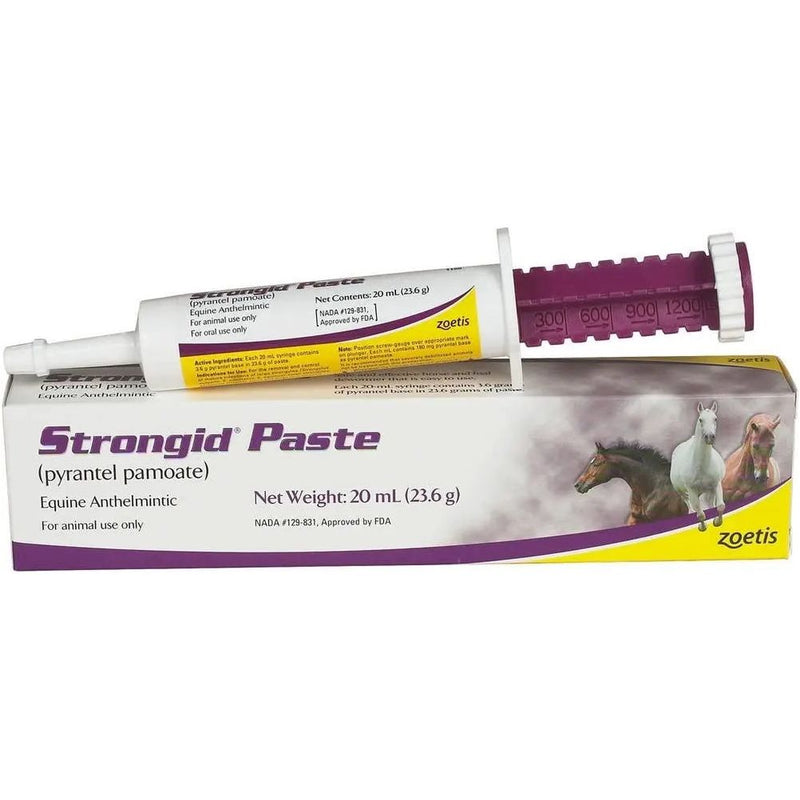 Strongid Paste Pyrantel Pamote for Horses Equine Anthelmintic 20mL Zoetis