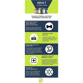 Vetericyn All-in Bone and Joint Supplement for Adult Dogs 90 Tablets Vetericyn