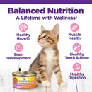 Wellness Complete Health Pâté Kitten Chicken Entrée Canned Wet Cat Food, Single Can Wellness Natural Pet Food