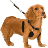 Yup Sporn Training Dog Halter Harness Small Black Sporn