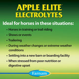 Farnam Apple Elite Electrolyte Powder For Horses 5lbs. Farnam