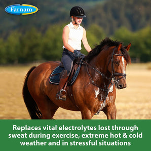 Farnam Apple Elite Electrolyte Powder For Horses 5lbs. Farnam