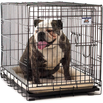 Little Giant Fleece Pet Bed Cream, Small 22.5" x 17" Little Giant