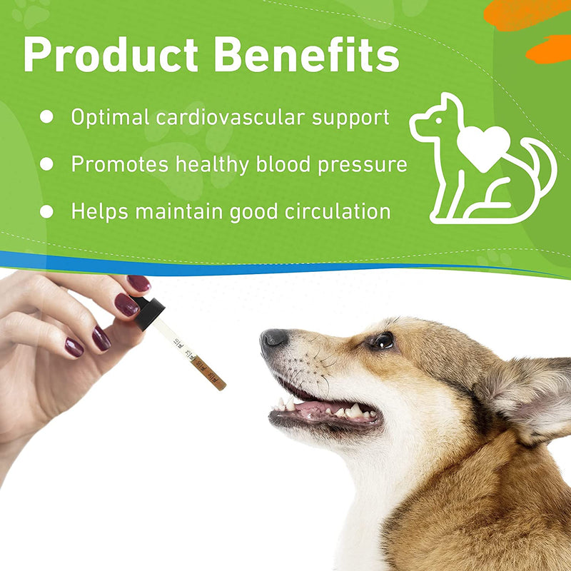 Pet Wellbeing Young at Heart Health Supplement for Dogs 2 oz. Pet Wellbeing