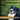 Taste of the Wild High Prairie Grain-Free Dry Puppy Food 5lbs. Taste of the Wild