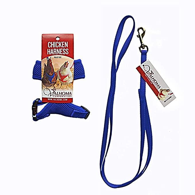 Valhoma Chicken Combo Pullet Harness with 4 Feet Leash Blue Valhoma