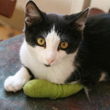Wrap-It-Up 4" Self Cohesive Flexible Bandages Pets Animals & Humans 18CT, Red Piccardmeds4pets.com